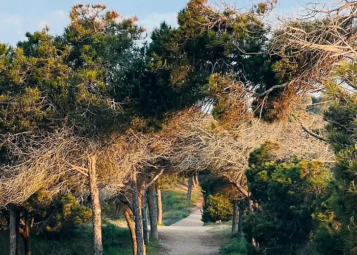 Appartement Casa De Kosma *